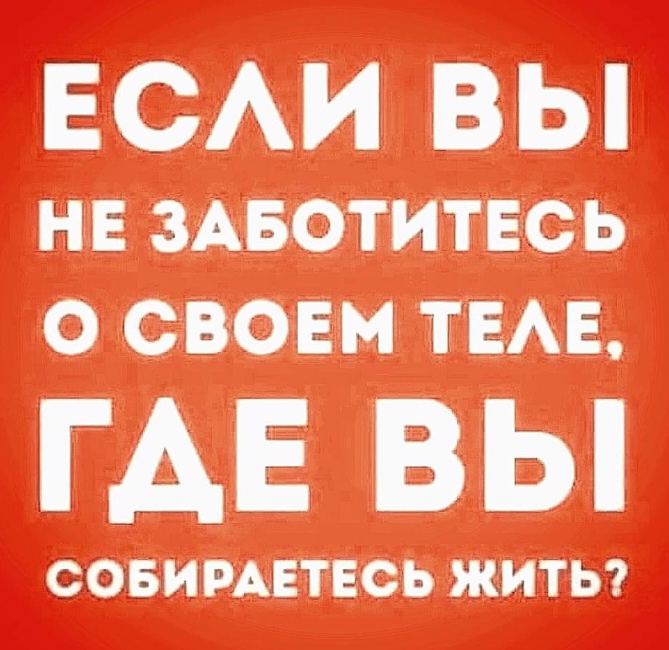 TjR3oFhto6U