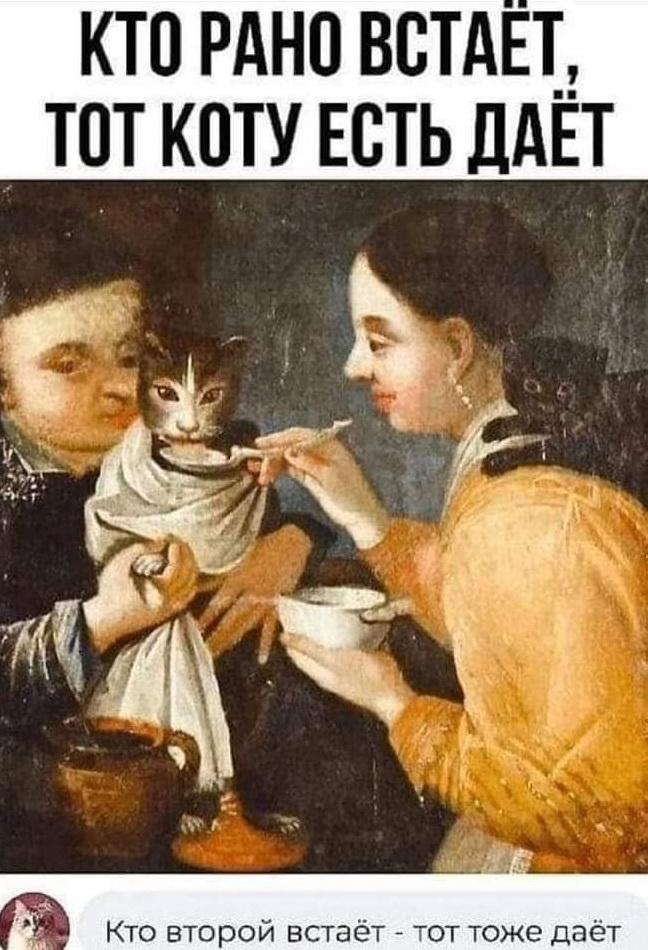 YqVVCXBDdRE